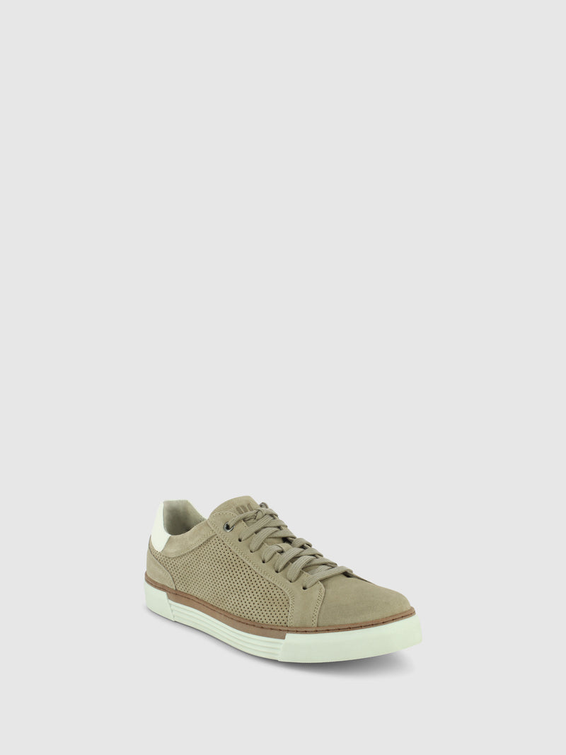 Pius Gabor Sapatos com Atacadores em Taupe
